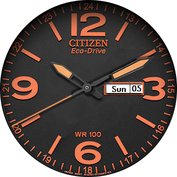 Citizen Eco Drive — Black Dial