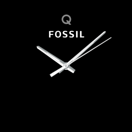 Fossil Q